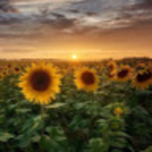 Meet your Posher, Larissa